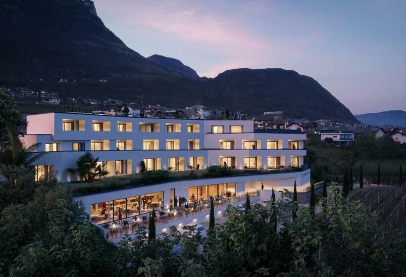 住宿加早餐  Villa Weingarten