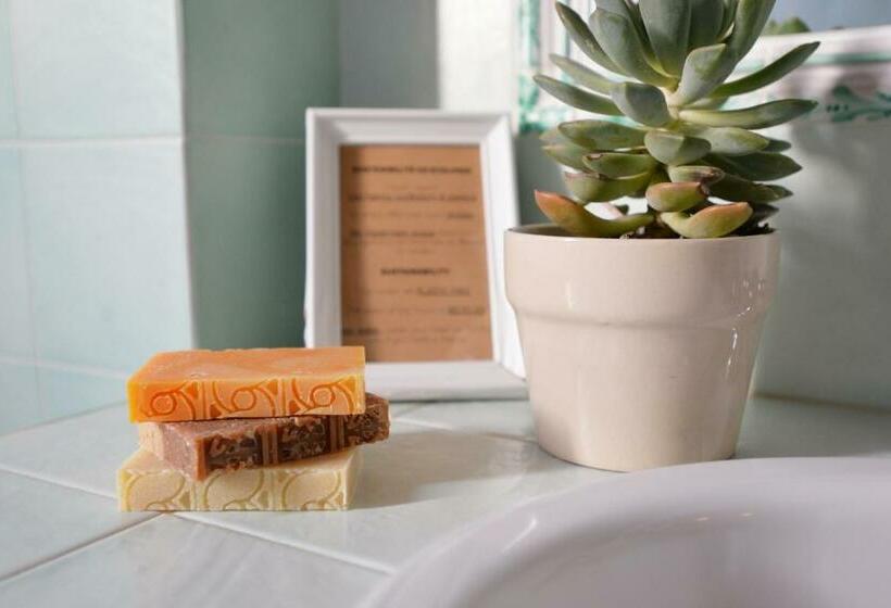 Отель Agriturismo Il Rigo