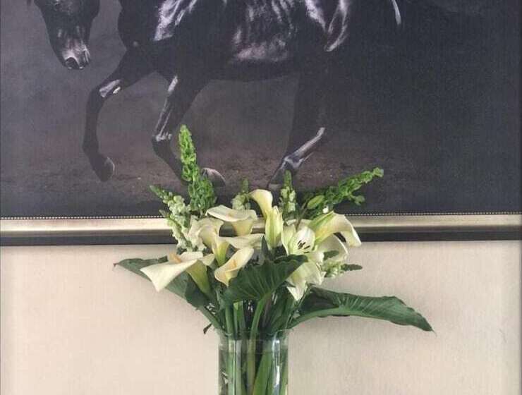 فندق Boutique Rancho San Jorge