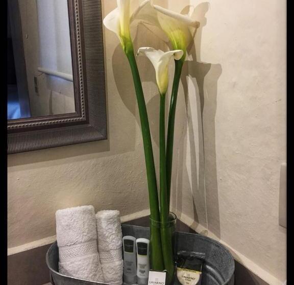 فندق Boutique Rancho San Jorge