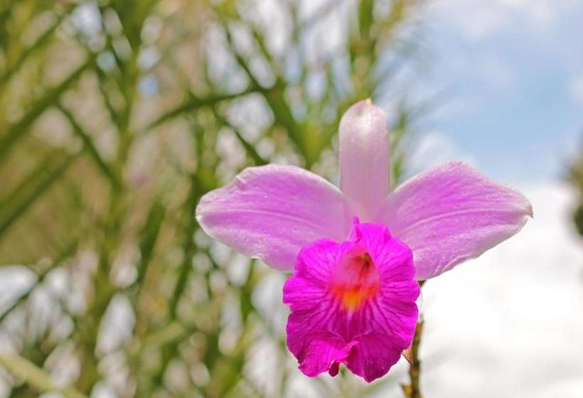 Отель Campestre Villa Quindio