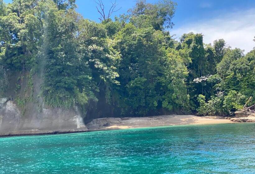 酒店 Caribbean View