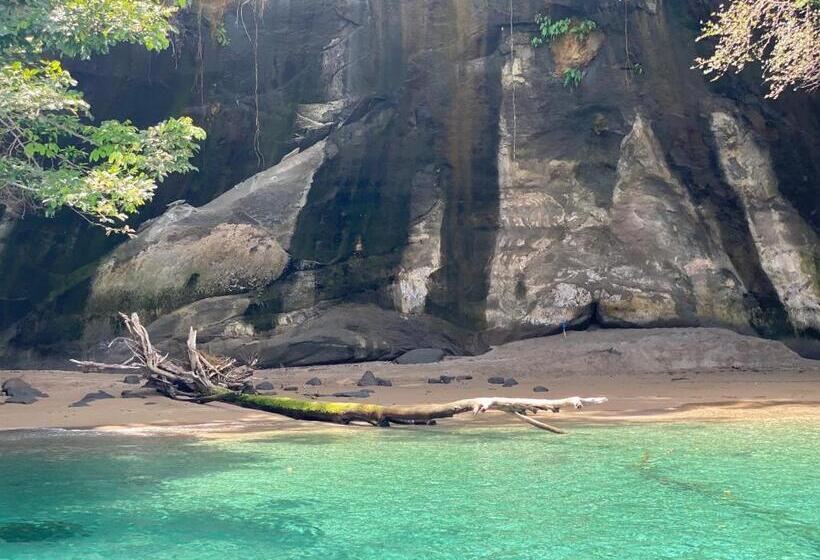 酒店 Caribbean View