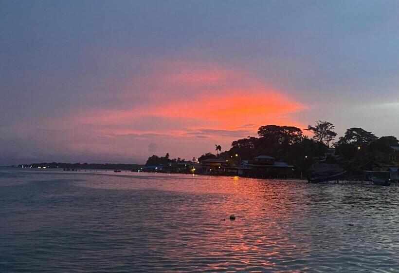 酒店 Caribbean View