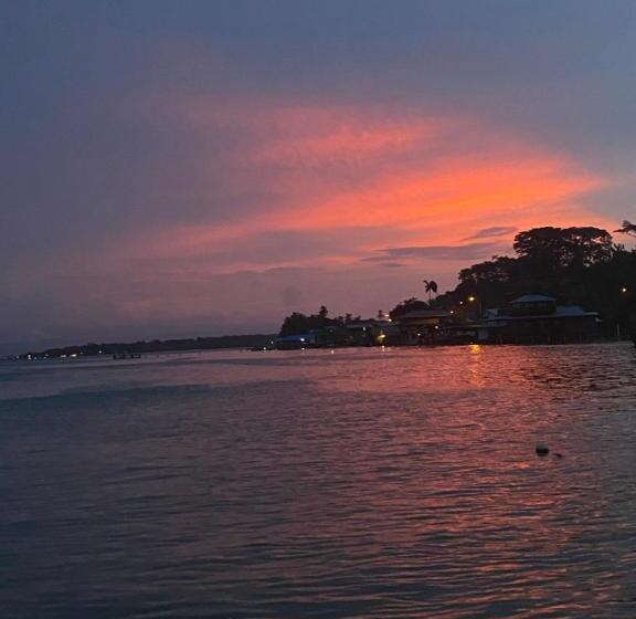 酒店 Caribbean View