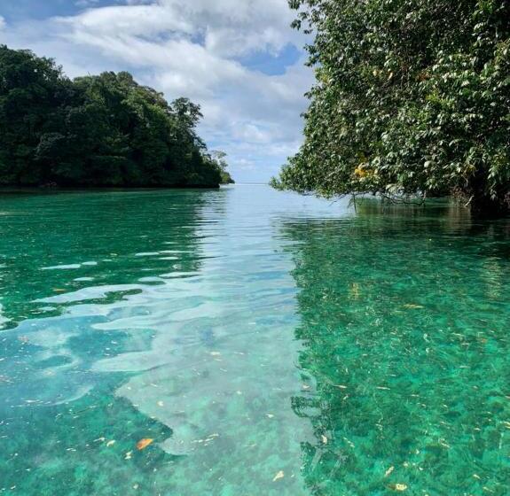 酒店 Caribbean View