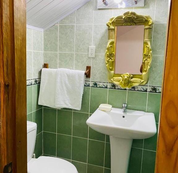 酒店 Caribbean View