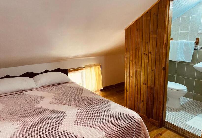 酒店 Caribbean View