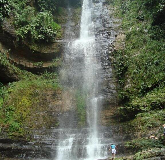 فندق Centro Real