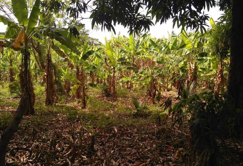 בית מלון כפרי Hospedaje Central