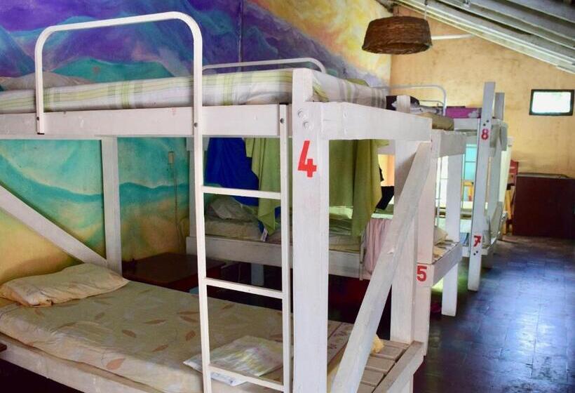 בית מלון כפרי Hospedaje Central