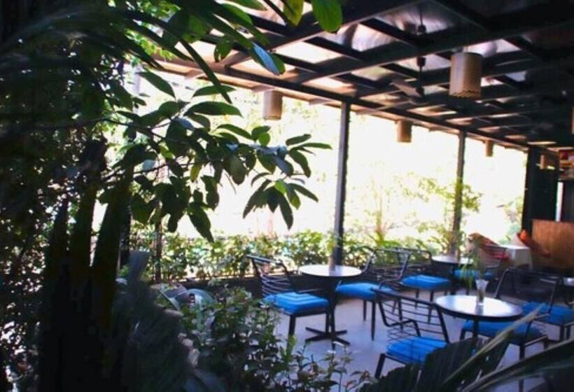 酒店 King Rock Residence