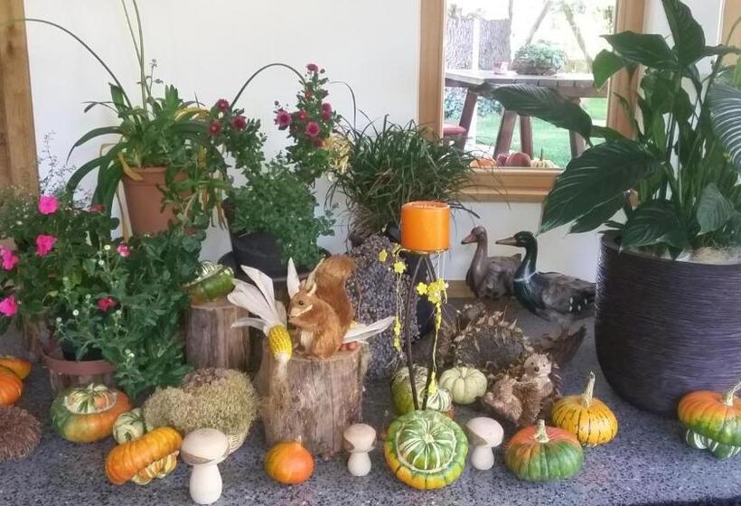 בית מלון כפרי Pension Morenfeld