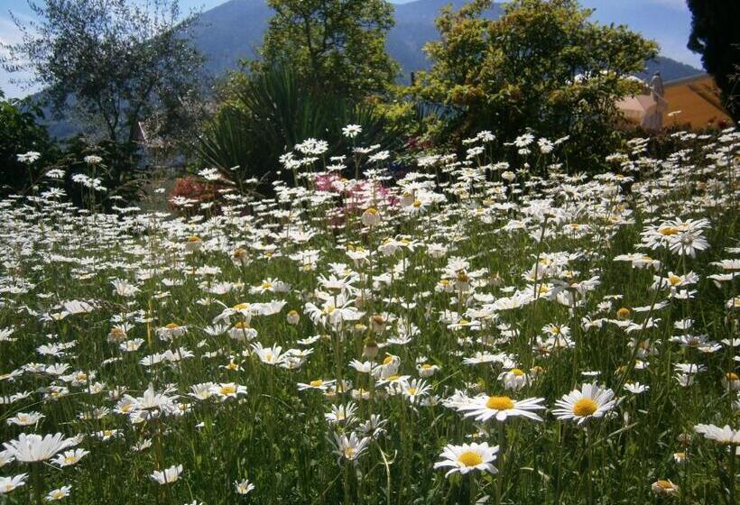 בית מלון כפרי Pension Morenfeld