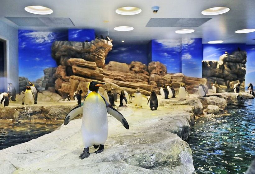 Отель Port Moji