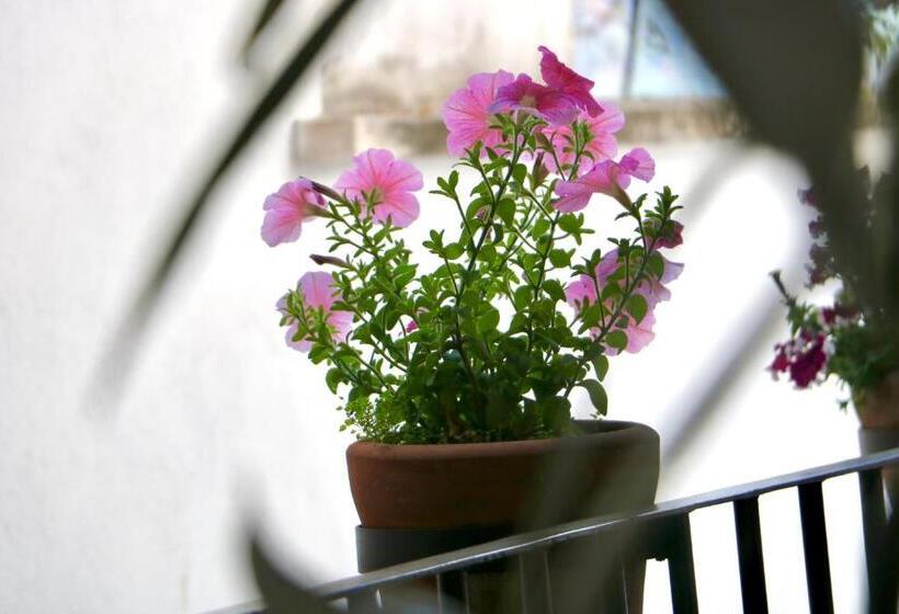 فندق San Sebastian