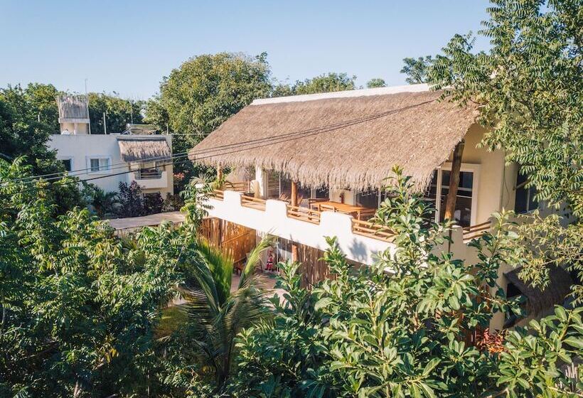 酒店 & Suites Oasis Bacalar