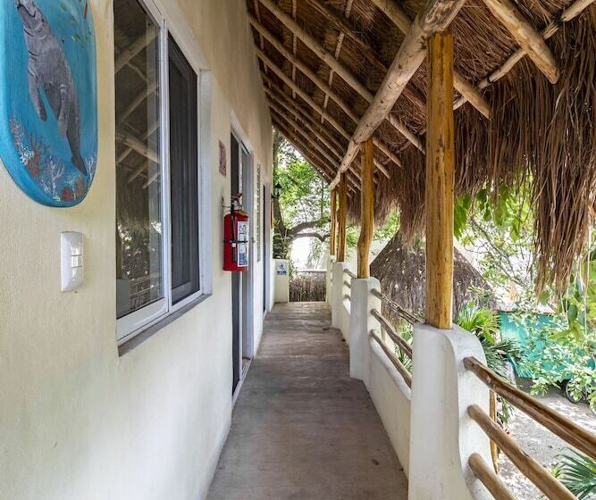 酒店 & Suites Oasis Bacalar