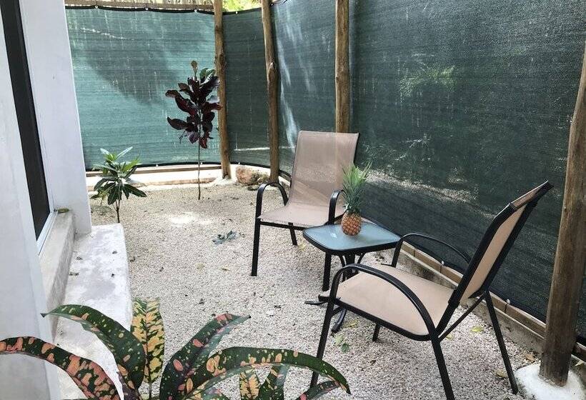 酒店 & Suites Oasis Bacalar