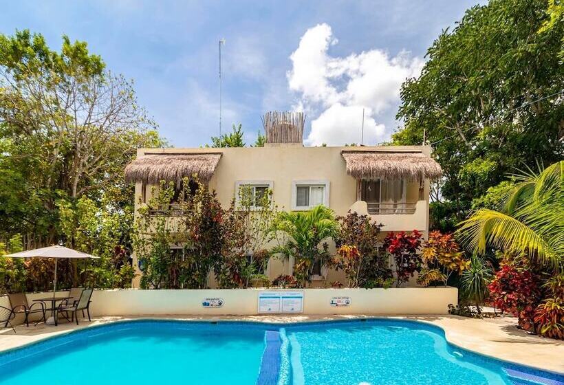 酒店 & Suites Oasis Bacalar