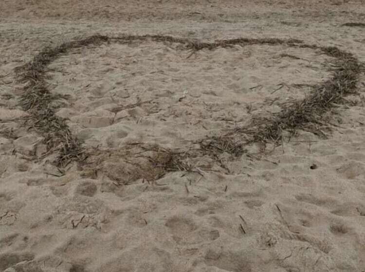 فندق على الطريق Outer Banks Motor Lodge