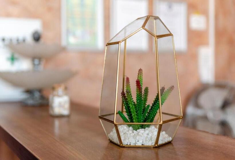 펜션 Casa Royal Pe Plaja Belona