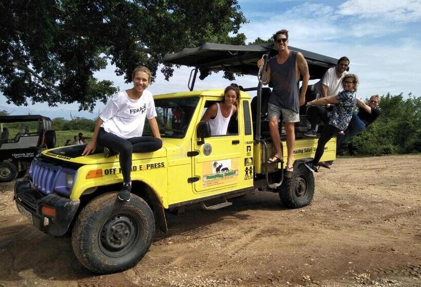 פנסיון Chill House Safari Resort