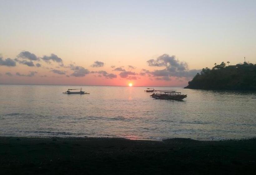 פנסיון Diver S Cafe Amed