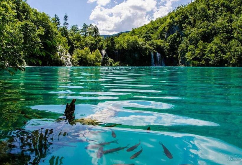 פנסיון House Vukovic