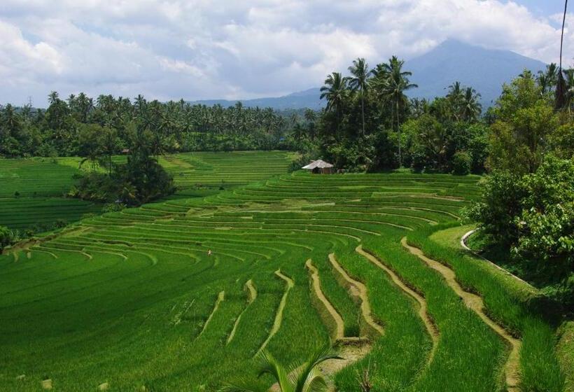 بنسيون Villa Rumah Pantai Bali
