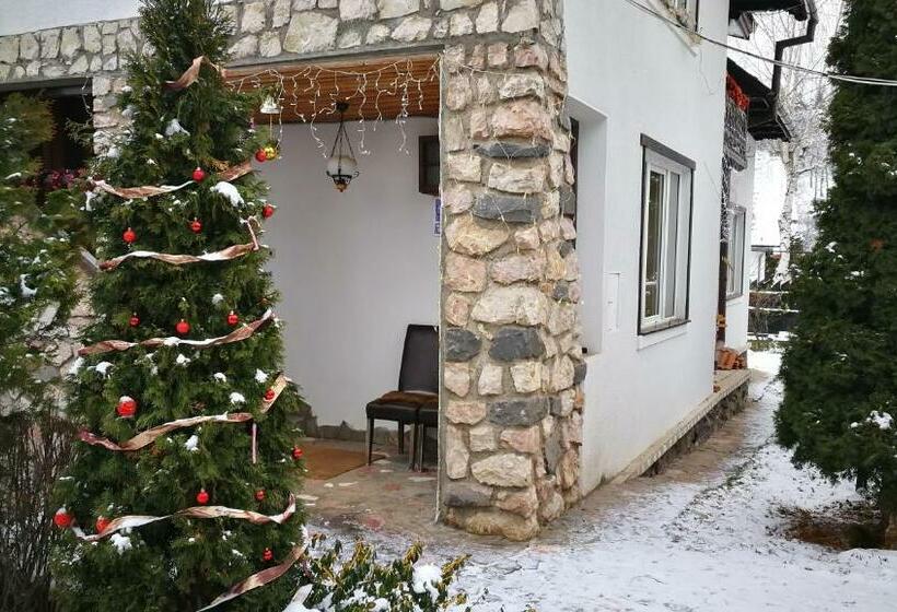 Pension Casa Contelui