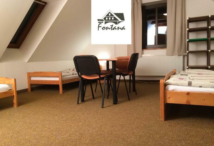 Pension Fontana