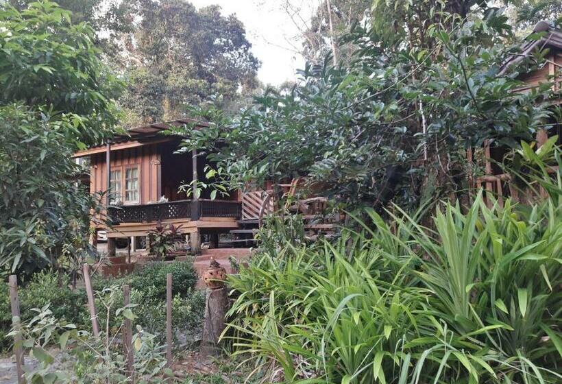 منتجع Koh Kood Little Hut