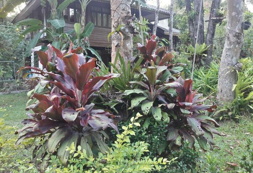 منتجع Koh Kood Little Hut