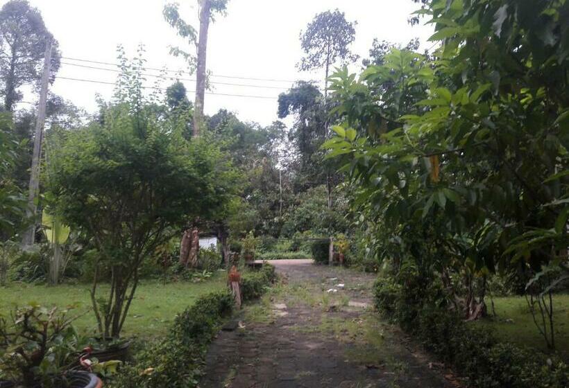 استراحتگاه Koh Kood Little Hut