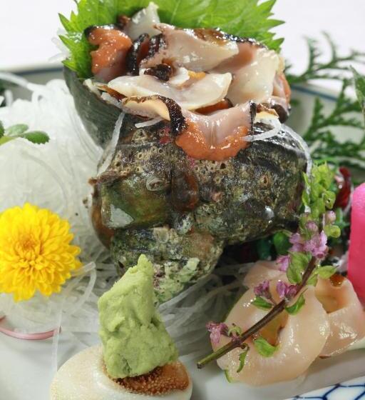 ريوكان Inubosaki Kanko