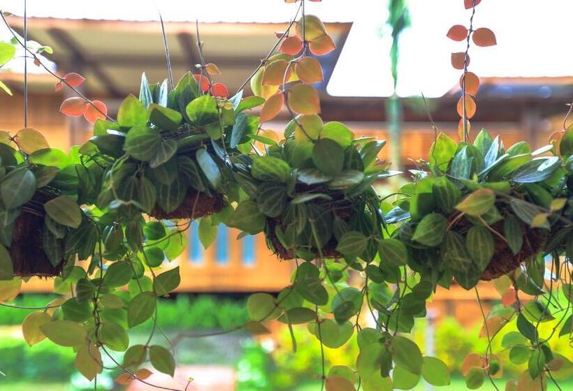 Viangviman Luxury Resort, Krabi