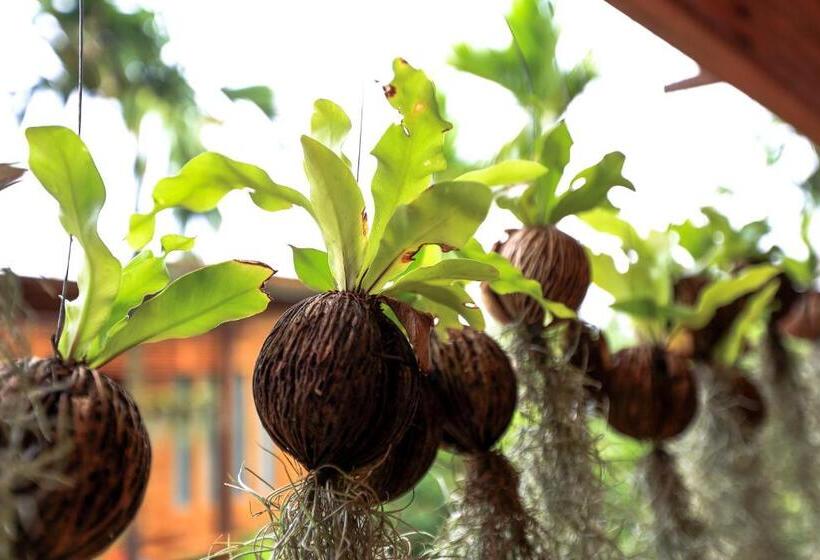 Viangviman Luxury Resort, Krabi