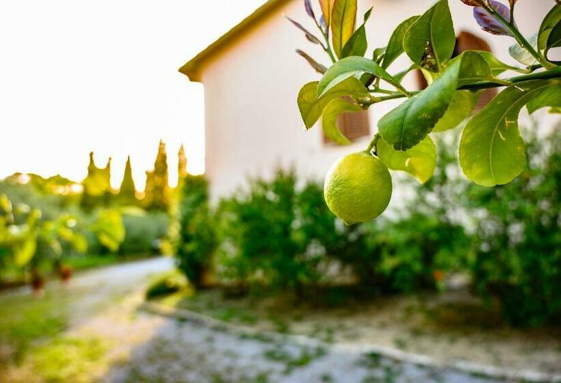 B&b Villa Giulia