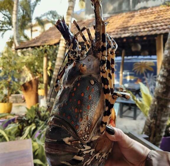 ベッドアンドブレックファースト Daffodil Restaurant & Holiday Resort