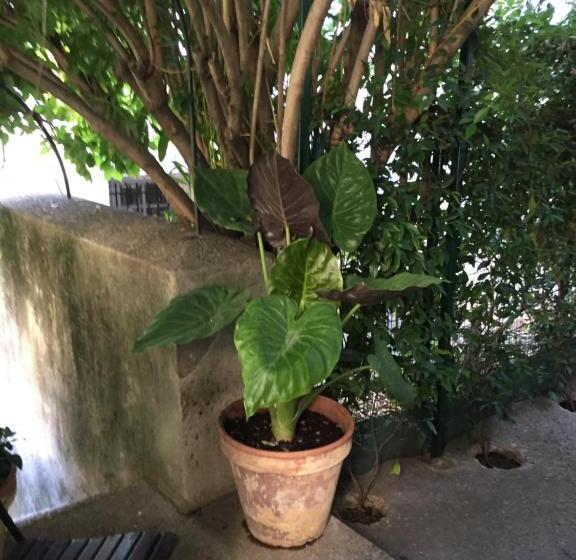 تختخواب و صبحانه Face Au Palais