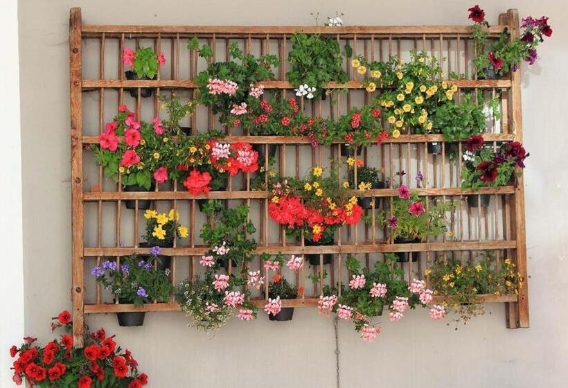 Bed And Breakfast Iman