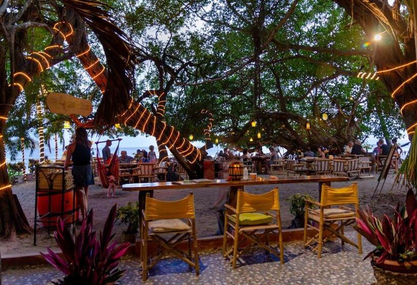 مبيت وإفطار La Dolce Vita   On The Beach   Samara