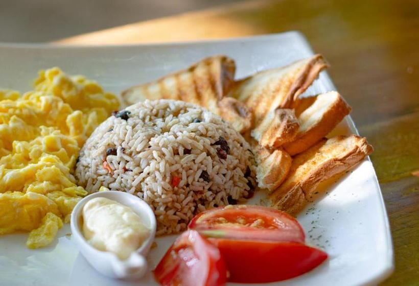 مبيت وإفطار La Dolce Vita   On The Beach   Samara