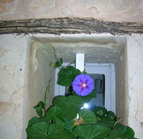 צימר Le Mas Des Baux