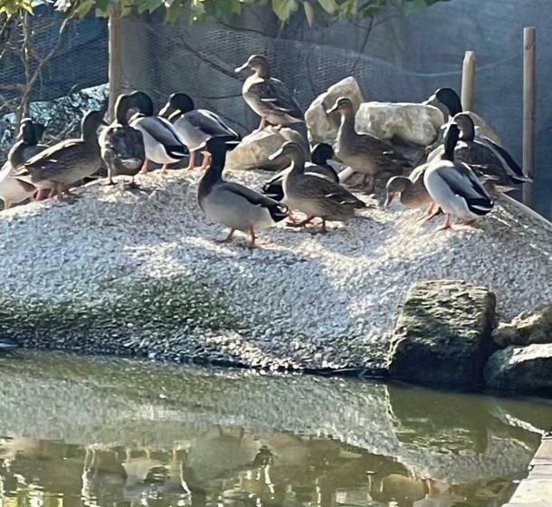 ベッドアンドブレックファースト Mas De La Montille