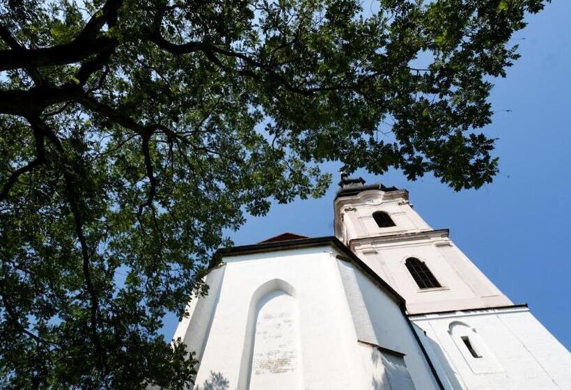 住宿加早餐  Mátyás Panzió