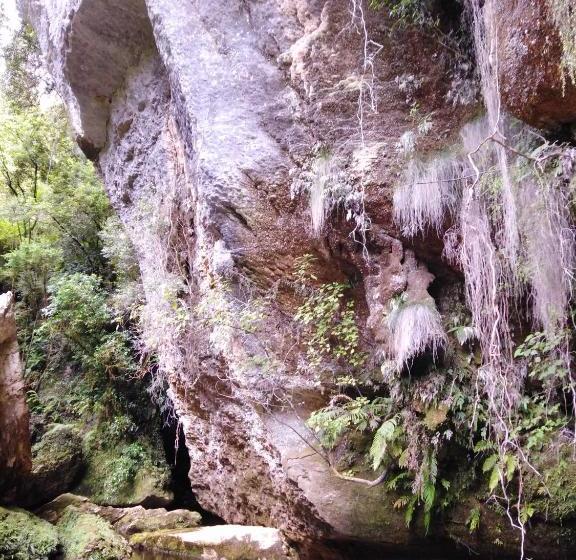 민박 Pakington Ensuite Homestay