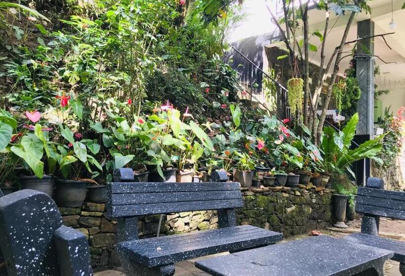 ベッドアンドブレックファースト River Splendour Home Stay