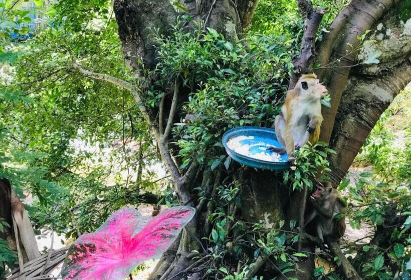 ベッドアンドブレックファースト River Splendour Home Stay